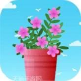 欢乐养猪红包版
