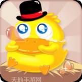 开心合数字