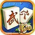 掌心武穴麻将