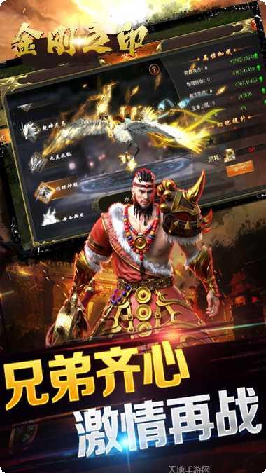 金刚之印闪耀版下载