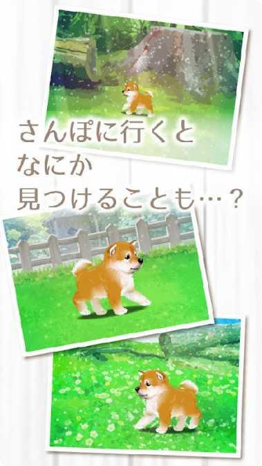治愈系海蜇养成技巧