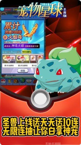 宠物星球BT圣兽版礼包