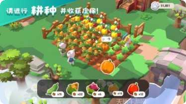 猫岛探险记攻略