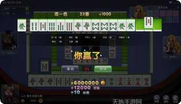 大熊猫棋牌游戏