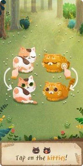 秘密猫林游戏攻略