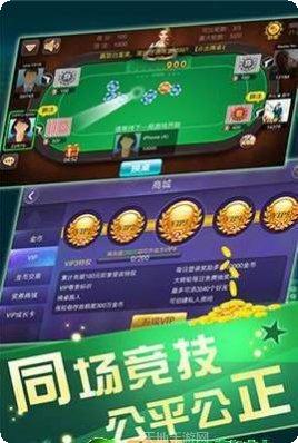 大玩家电玩ios版