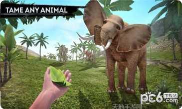 幸存者危城攻略