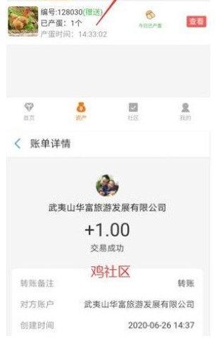 鸡社区模拟经营