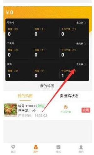 鸡社区农场建设