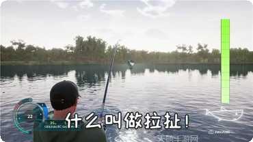 钓鱼天才怎么玩