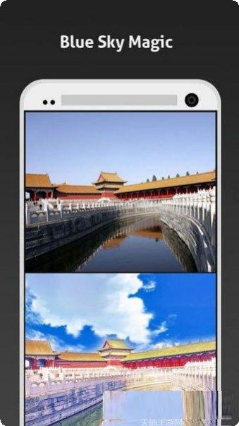 Animal Clash战斗技巧