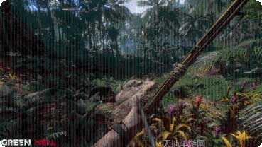 绿色地狱冒险之旅