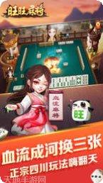 旺旺南平麻将规则
