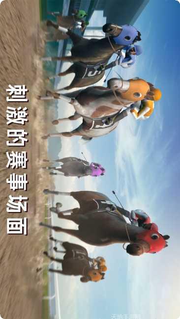 模拟赛车比赛直播