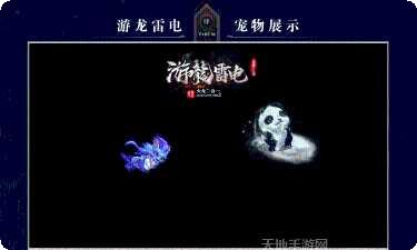 游龙雷电传奇游戏攻略