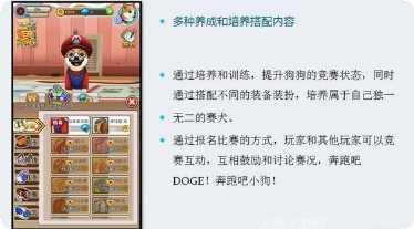 奔跑吧跑车攻略大全