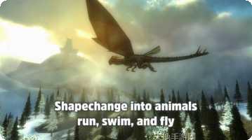 光明山脉技能搭配