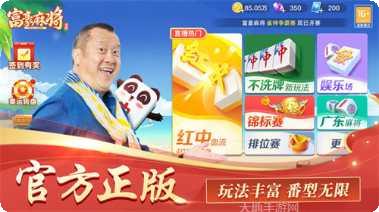 富豪麻将技巧分享