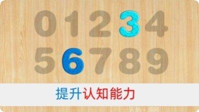 宝宝拼图社会安卓版