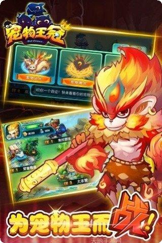 宠物王冠游戏攻略