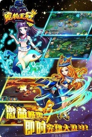 宠物王冠角色搭配