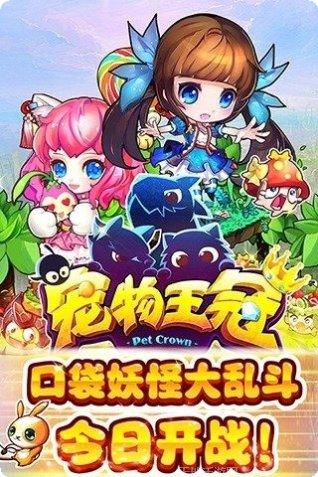 宠物王冠新手教程
