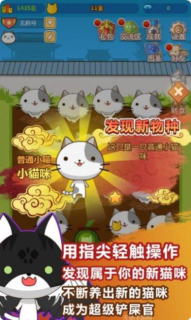 叫我猫王子攻略