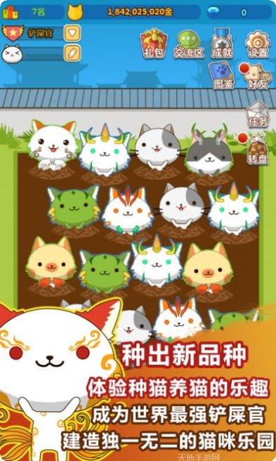 叫我猫王子最新版本