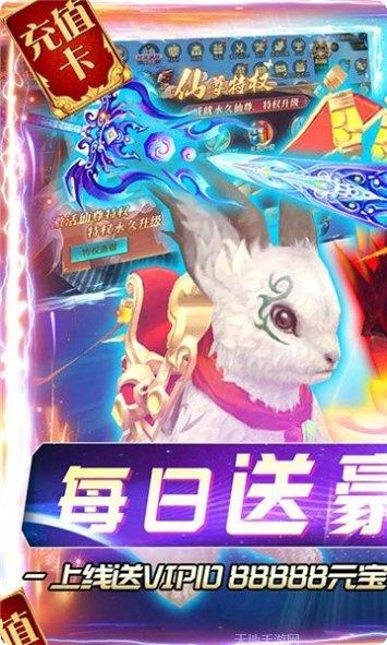 天命神王角色培养
