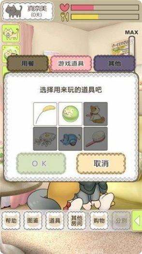 我家的宠物鼠更新