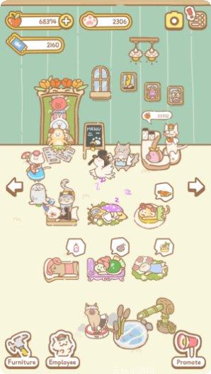 猫猫水疗馆中国之家玩法介绍