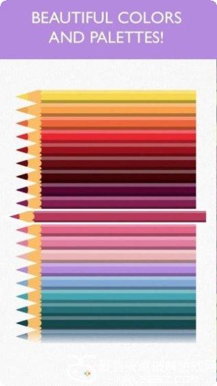 Color Sort Puzzle游戏攻略