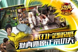 功夫全明星最新版本