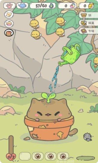 我的猫咪奥斯卡宠物养成