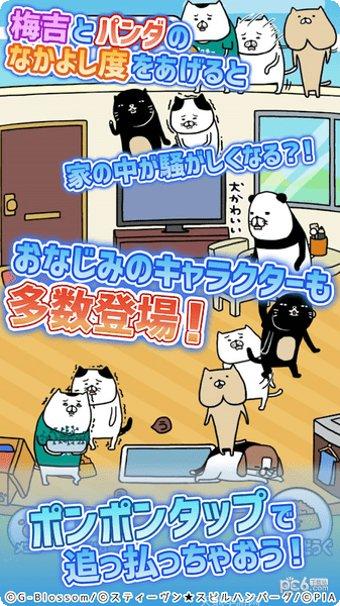 熊猫与狗的休息游戏下载