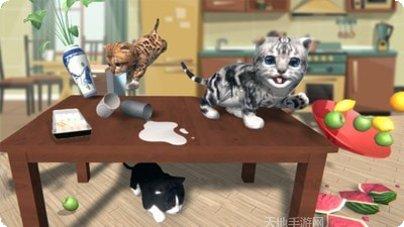 捣蛋猫最新版本下载