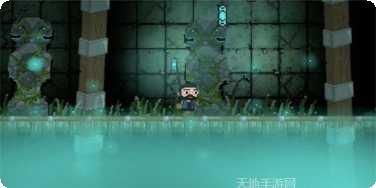 黑夜逃生玩家心得