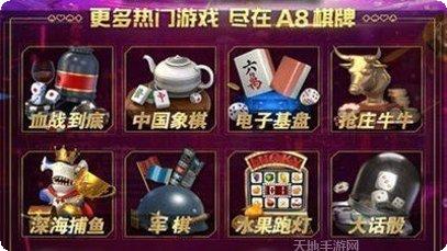 A8棋牌娱乐游戏
