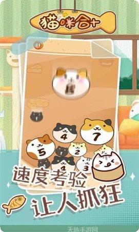 猫咪合十游戏攻略