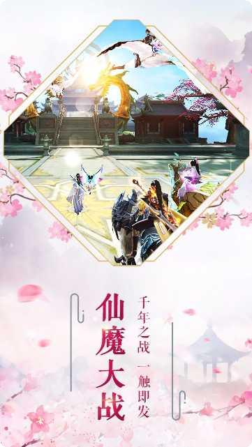 图片6