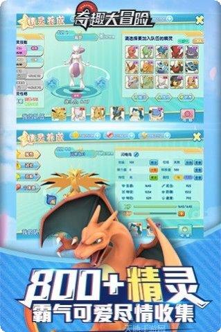 奇趣大冒险游戏攻略