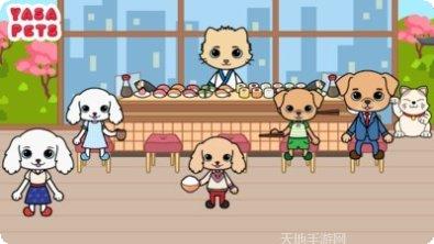雅莎宠物机场攻略
