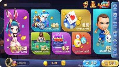 大蜂娱乐游戏攻略