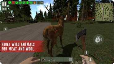 被遗忘的森林寻宝