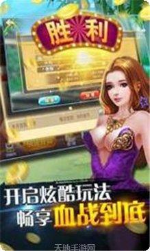 闲游沛县麻将下载