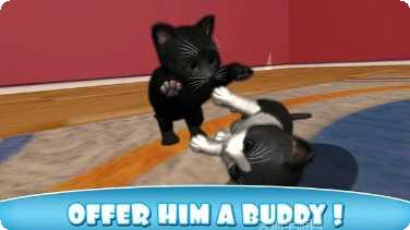 猫咪小镇世界攻略