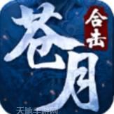 苍月合击版10