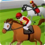闲置赛马