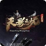 天影忘忧王者归来