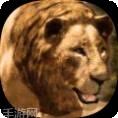 狮王模拟器